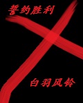 江湖宫斗